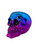 Three-quarter view of an iridescent blue and pink resin skull sculpture displaying detailed teeth and reflective metallic accents.
