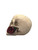 Side view of a cold-cast resin skull with a rose held between its jaws, showcasing intricate craftsmanship and spooky accents.