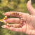 Natural Crazy Lace Agate gemstone bead bracelet displayed outdoors to showcase the authentic vibrant stone patterns in sunlight.