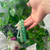 Green Aventurine Gemstone Bracelet