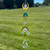 Hanging gold-toned Tree of Life suncatcher with blue-green stones and iridescent crystals hanging outdoors against a blurred green lawn.
