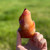 Close-up of flame-shaped Carnelian crystals with natural banding and polished finish