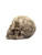 Side profile of a Large Celtic Skull decor statue made of cold-cast resin with carved knot motifs for shelf display.