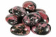Rhodonite Palmstone - Ice Imports