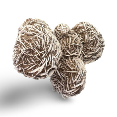 Desert Rose 本体 Premium Desert Rose Specimen - Ice Imports