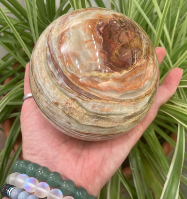 IMG_5081__47434.1685979628.386