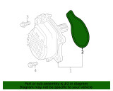 Toyota OEM Engine Water Pump Gasket for 10-15 Toyota Prius / Prius V / Lexus CT200h