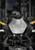 Lexus GX 460 2010-2023 Cat Shield
