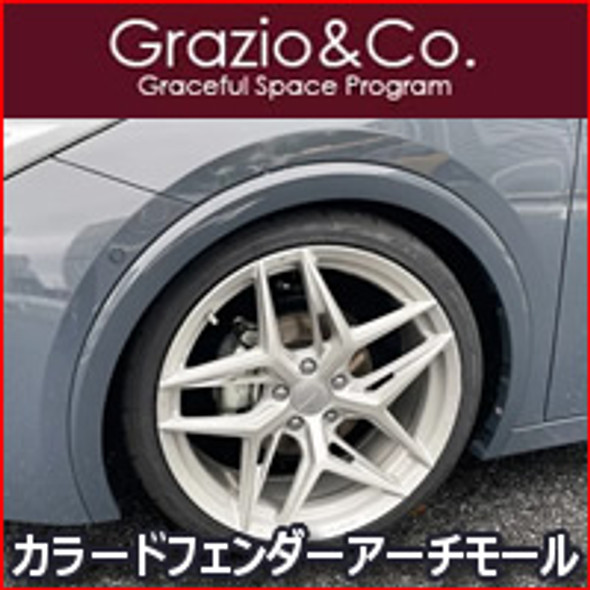 Colored fender arch molding for Prius 60 series Grazio&Co.