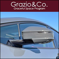 Toyota Prius 2023 2024 2025 Colored Door Mirrors Grazio & Co.