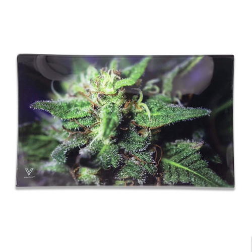 V Syndicate Shatterproof Glass Rolling Tray - Medium - Blue Dream  at The Cloud Supply