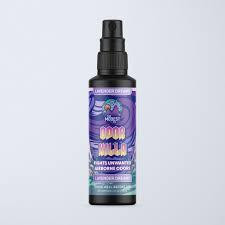 The Modest Co Modest Co Odor Killa Spray 4oz 3pk  at The Cloud Supply