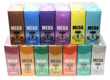 Mega Vape MEGA Vape Disposable V2 - 5% 1000 Puffs - 10pk  at The Cloud Supply