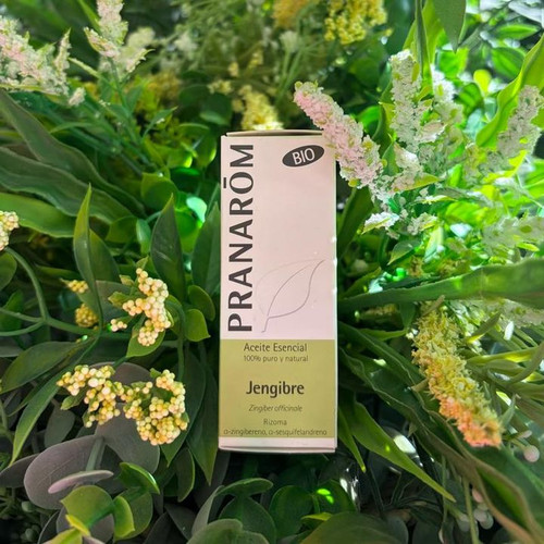 PRANAROM ACEITE ESENCIAL JENGIBRE 5ML