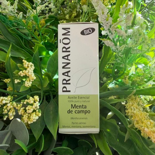 PRANAROM ACEITE ESENCIAL MENTA CAMPO BIO 10ML