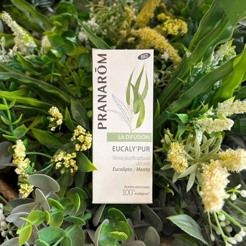 PRANAROM DIFUSION EUCALY´PUR BIO 30ML
