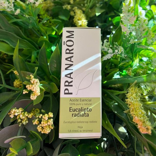 PRANAROM ACEITE ESENC EUCALIPTO RADIATA BIO 10ML