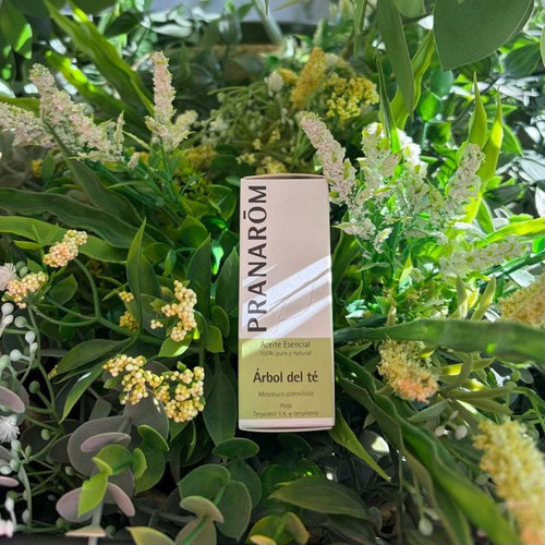 PRANAROM ACEITE ESENCIAL ÁRBOL DE TÉ BIO 10 ML
