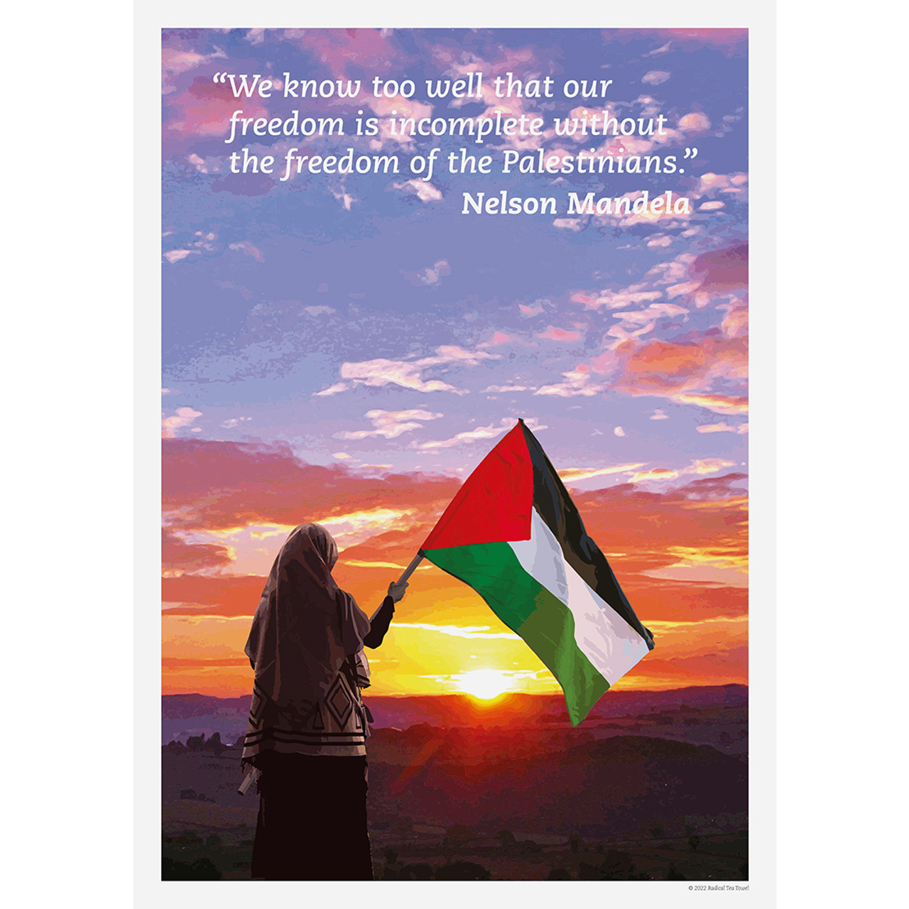 Palestine - Nelson Mandela Quote poster