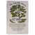 Movements for Change tea towel collection