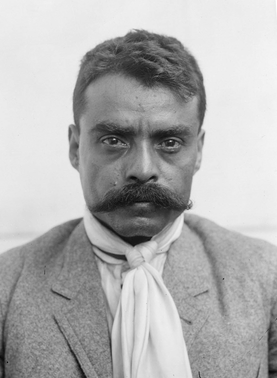 The Scourge of the Rich Emiliano Zapata and the Mexican Revolution