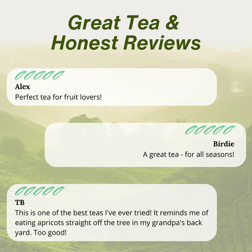 Reviews