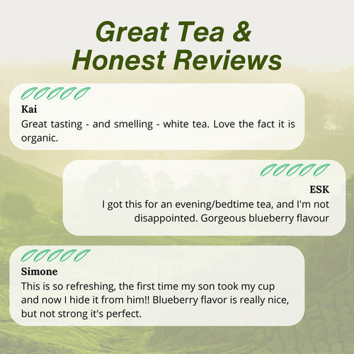 Blanc De Blueberry - Organic White Tea 1oz