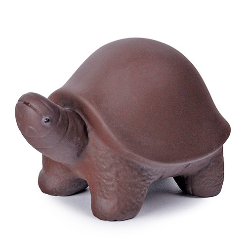 Tea Pet Turtle