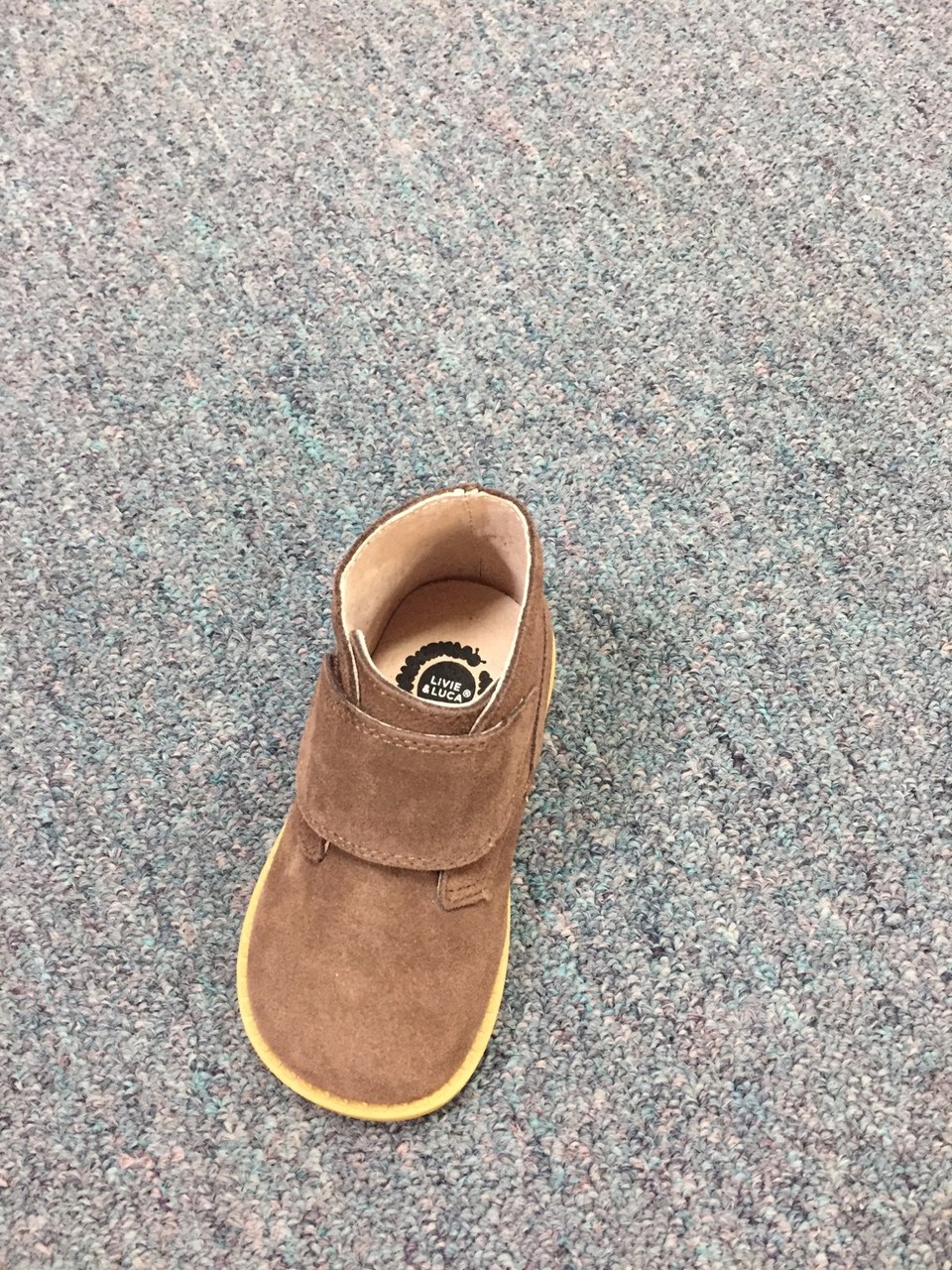 Live Luca Pollock Mocha Boys Shoes