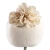 Layette Basic-Flower Headband