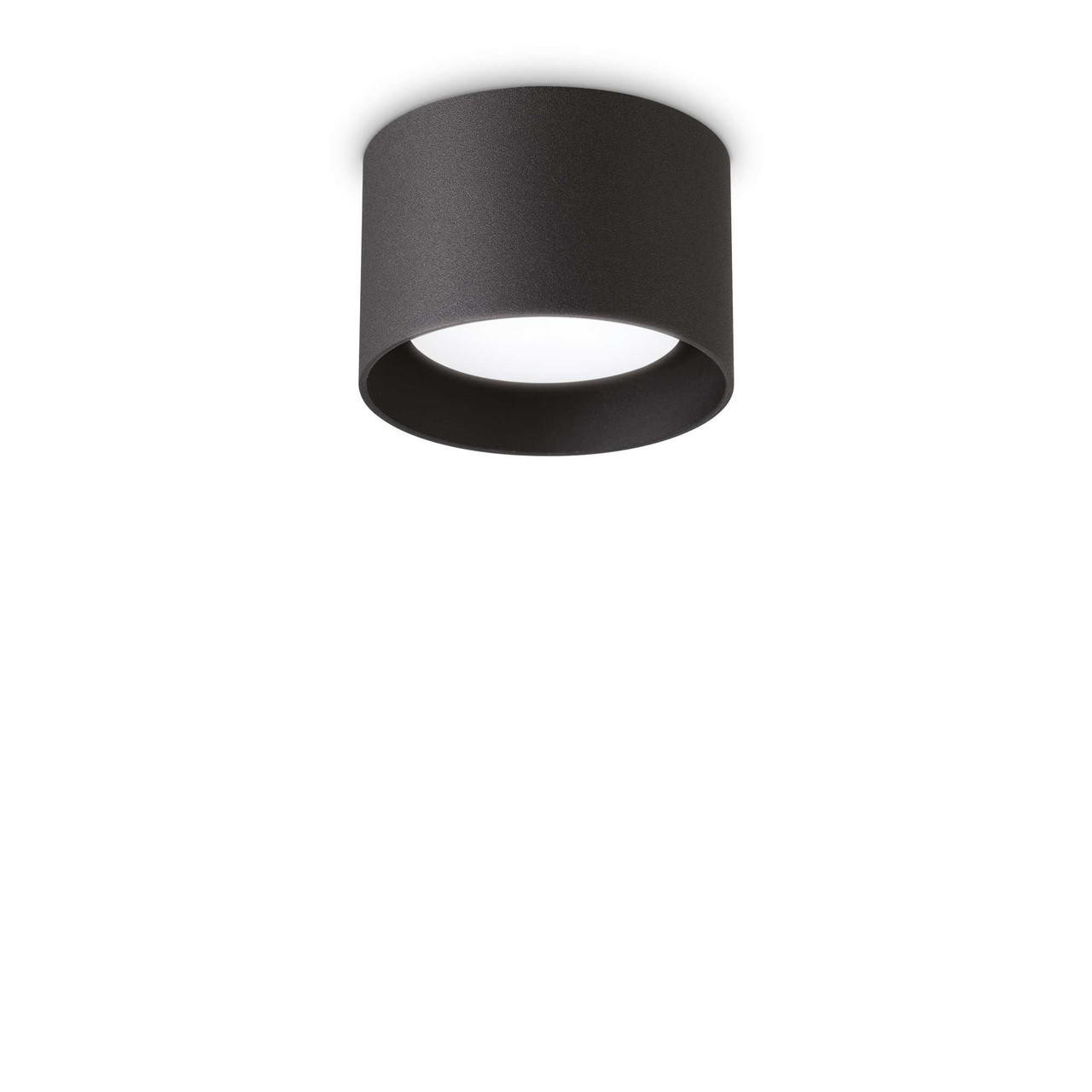 Toby PL1 Black with Adjustable Diffuser Ceiling Spotlight