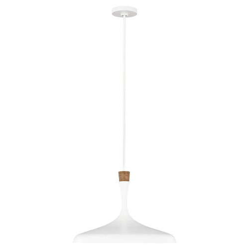Flambeau Darwin Matte White Pendant Light 