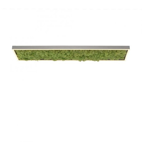 Green Knut Moss with White LED Flush Ceiling Light