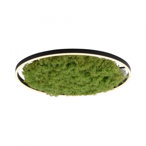 Green Ritus Moss Ring 28W LED Flush Ceiling Light