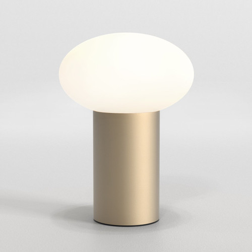 Zeppo Light Bronze with White Glass LED Portable Light