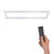 Paul Neuhaus Pure Lines Aluminium 110cm Ceiling Light