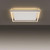 Paul Neuhaus Q-Kaan Brushed Steel Smart Square LED Flush Ceiling Light