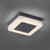 Paul Neuhaus Fabian Anthricite with Opal Round Edge Square LED Wall or Ceiling Light