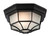 Firstlight Products 6 Panel Black with Frosted Glass IP44 Flush Ceiling Light