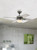 Eglo Lighting Gelsina Satin Nickel Ceiling Fan and Light