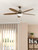 Eglo Lighting Susale Satin Nickel Ceiling Fan and Light