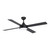 Eglo Lighting Trinidad Black with Remote Control and Ceiling Fan and Light