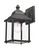 Doyle Black Gold IP44 Outdoor Lantern Wall Light