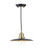 Hannover Black Antique Brass Pendant Light