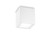 Ideal-Lux Techo PL1 White with Frosted Glass Diffuser 16cm Surface Ceiling Light 