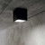 Ideal-Lux Techo PL1 Black with Frosted Glass Diffuser 16cm Surface Ceiling Light 
