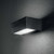 Ideal-Lux Twin AP1 Black with Frosted Glass Diffuser Up and Down IP44 Wall Light 