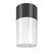 Maytoni Willis Black with White Diffuser IP54 Ceiling Light 