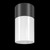 Maytoni Willis Black with White Diffuser IP54 Ceiling Light 