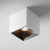 Maytoni Alfa LED White Square Dimmable 12W 3000K Surface Downlight 